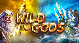 Wild Gods