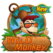 Wild Monkey