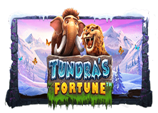 Tundra's Fortune